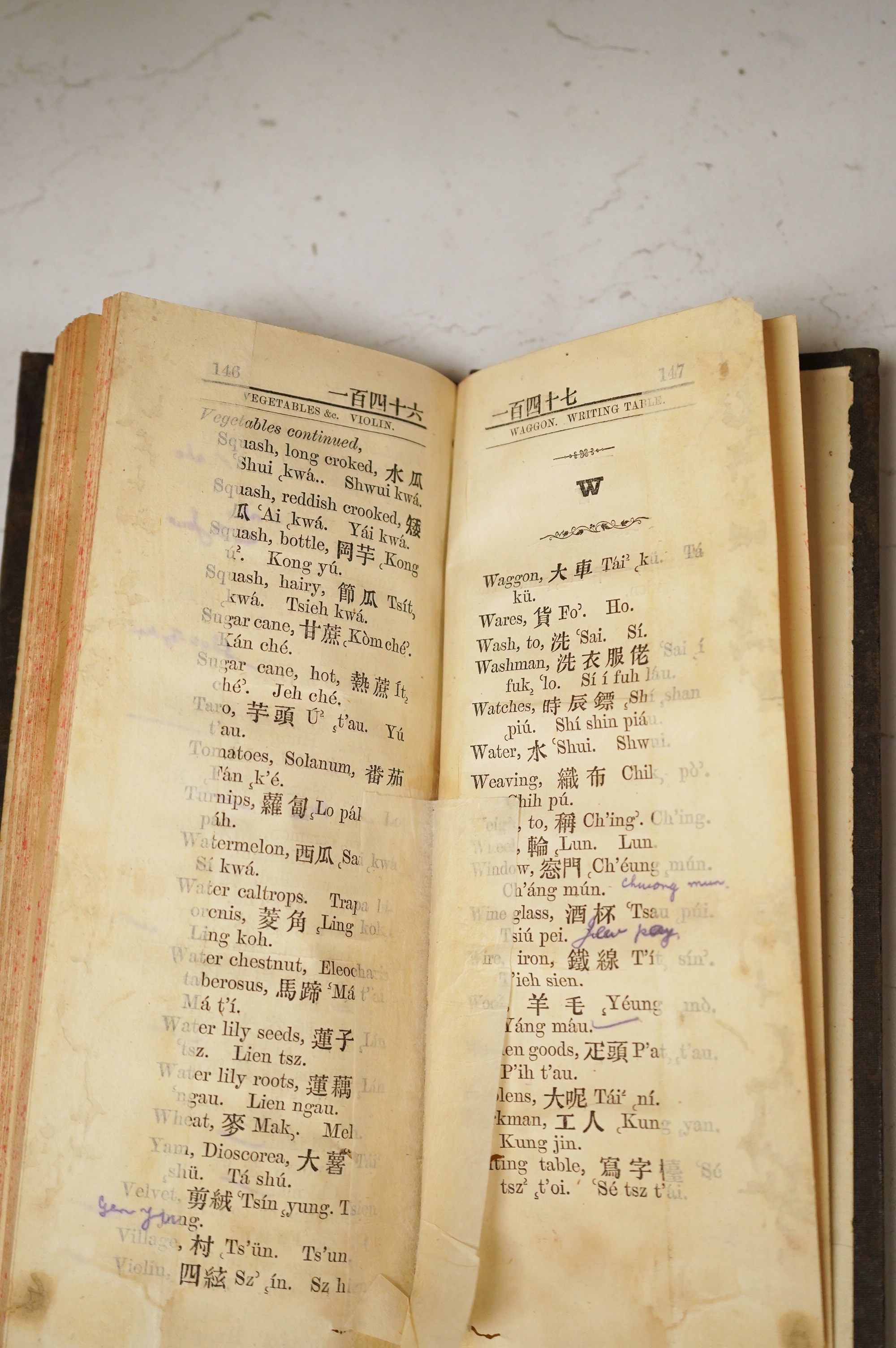 The Tourists' Guide and Merchants' Manual. Being an English Chinese Vocabulary of Articles of Commerce and of Domestic Use ... old binder's gilt ruled cloth, tall slim 8vo. Hong Kong: The 